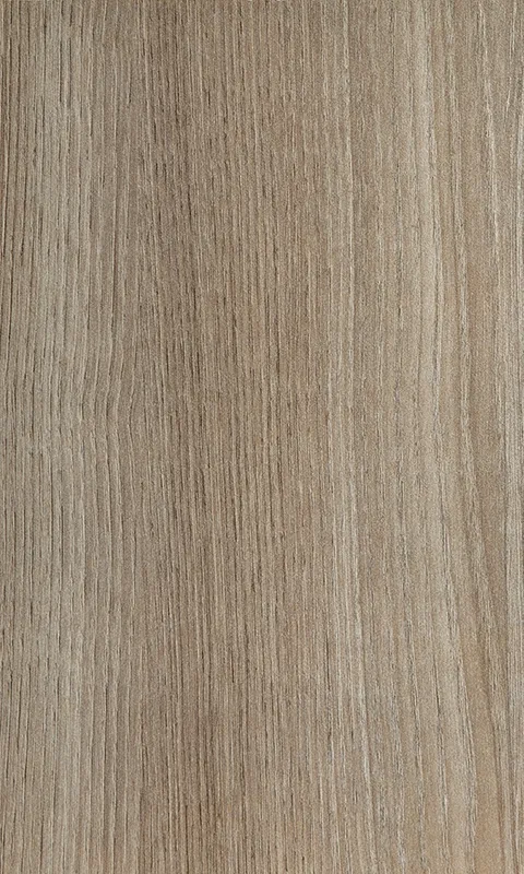 Kestane