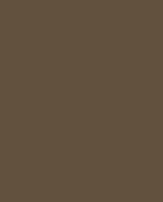HPL Plywood Panel - Bronze
